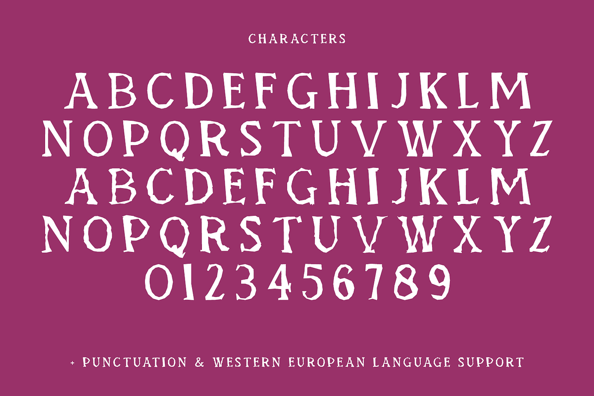 Hauntings Serif Font, a Serif Font by Beck McCormick (Photo 10 of 10)