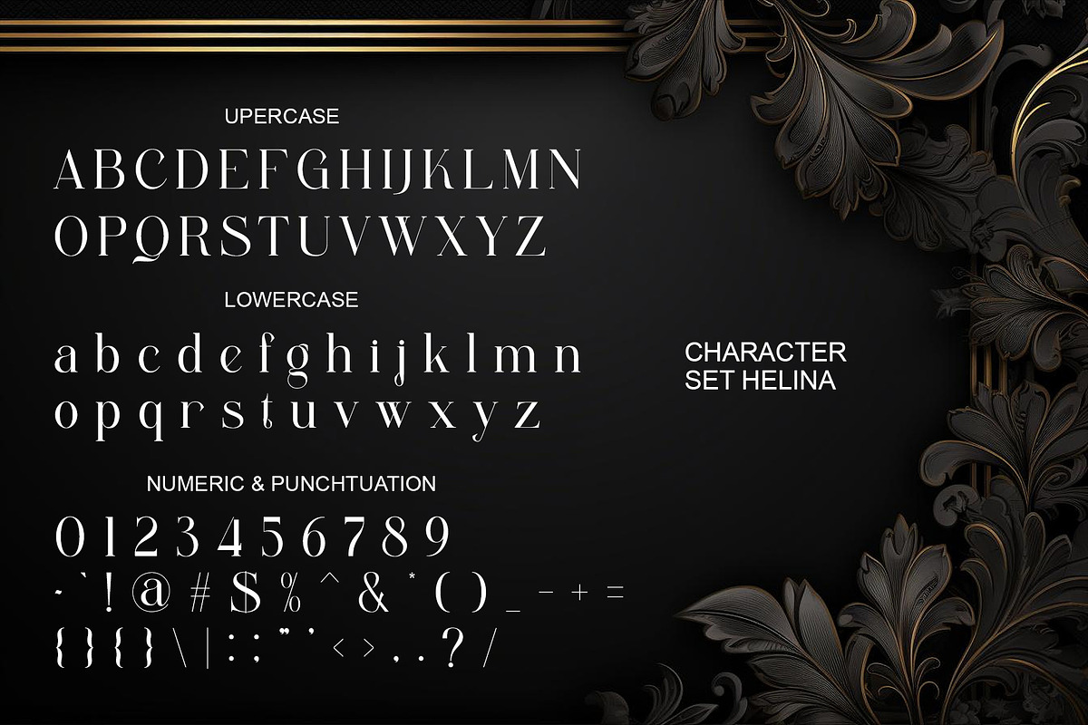 Halina Elegant Ligature Serif, a Serif Font by Alfinart (Photo 8 of 10)