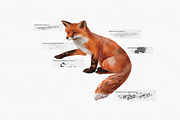 Procreate Watercolor Splatter Brush, a Brush Add-On by CropUp Creative (Thumbnail 6 of 6)