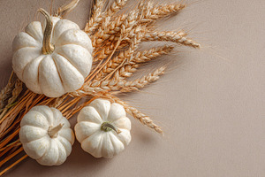 White pumpkins and wheat stalks, a Photo by Pavel_design