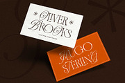 Andiena Bielsa - Hybrid Serif, a Serif Font by Arterfak Project (Thumbnail 7 of 12)