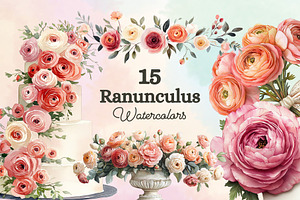 15 Ranunculus Watercolor Cliparts