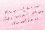 Shelline - Romantic Script, a Script Font by Almarkhatype (Thumbnail 5 of 11)