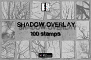 Tree shadow overlay stamps Procreate, a Brush Add-On by TheWhiteCatLab (Thumbnail 1 of 9)