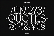 TAN - WAVERLY, a Serif Font by TanType (Thumbnail 17 of 22)