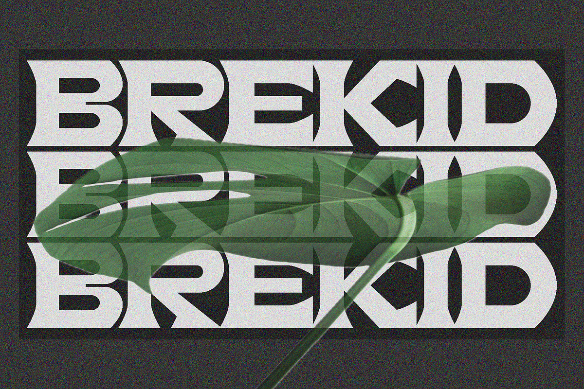 Brekid Luxurious Font, a Serif Font by Erifqizefont (Photo 2 of 16)