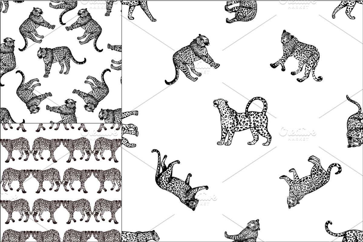 Leopards, an Animal Illustration by Ecaterina Sciuchina (Photo 4 of 5)