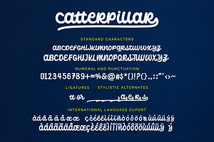 Catterpillar - A Stylist Font