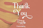 Orange Umbrella Beautiful Serif Font, a Serif Font by Guavanaboy (Thumbnail 11 of 11)
