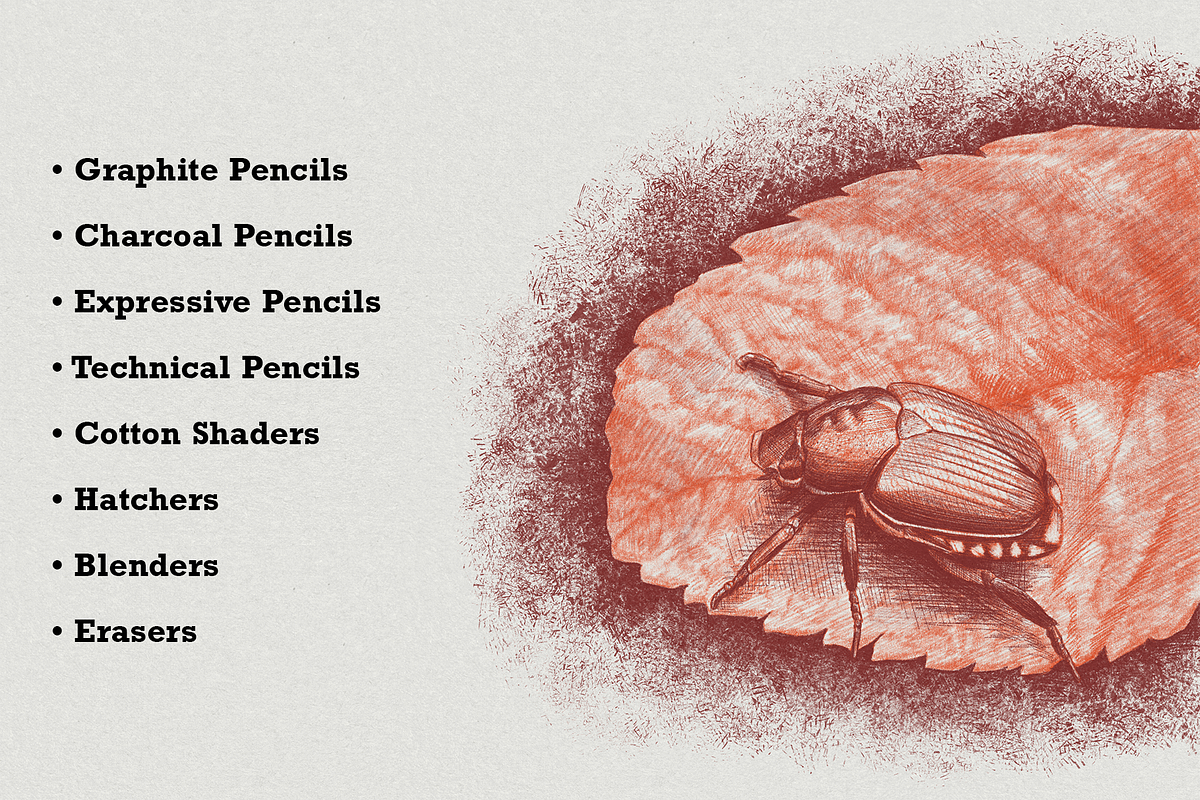 Molivee Pencil Brushes for Procreate, a Brush Add-On by Jinro (Photo 2 of 16)