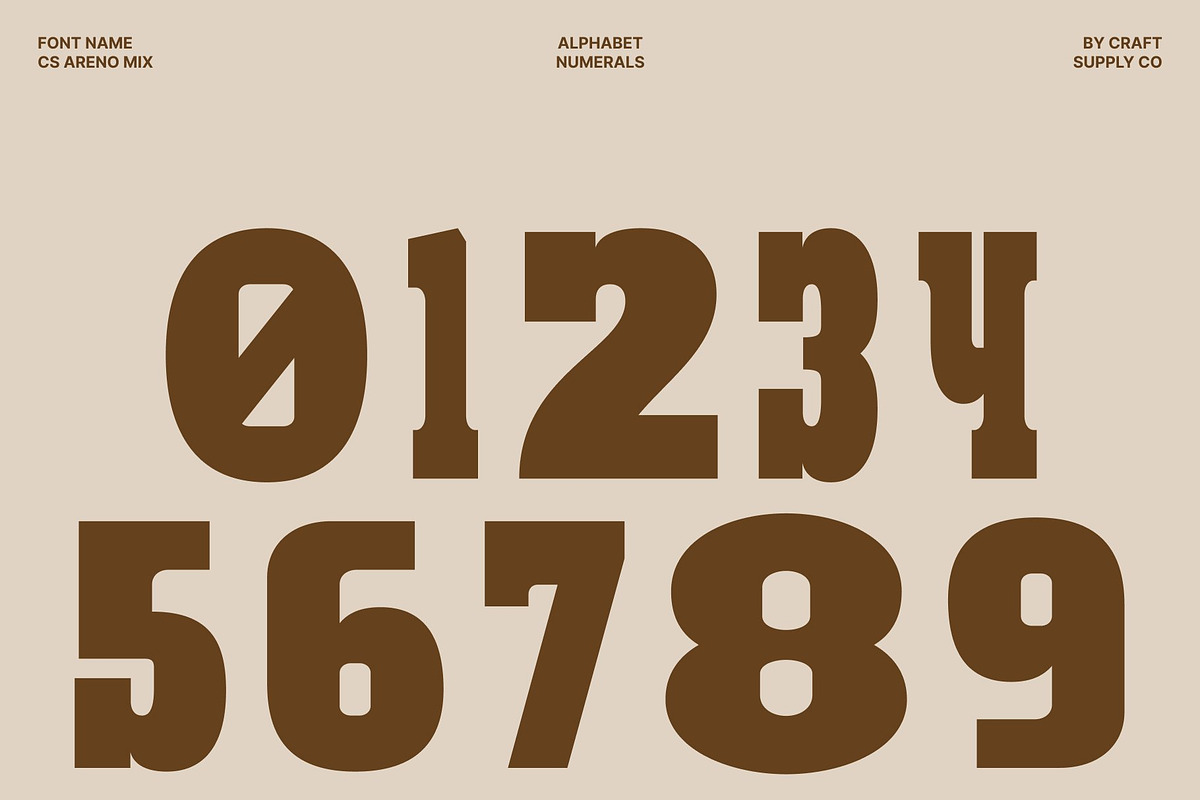 CS Areno Mix, a Slab Serif Font by Craft Supply Co. (Photo 5 of 8)