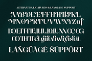 Rhedova - Modern Bold Luxury Serif, a Serif Font by Shakira Studio (Thumbnail 9 of 10)