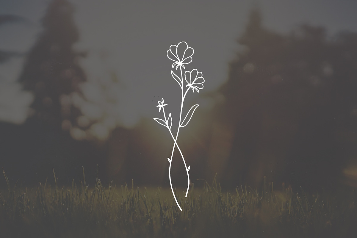 PSD 6 Hand Drawn Wildflower Elements, an Illustration by Bilbie Artwork (Photo 7 of 7)