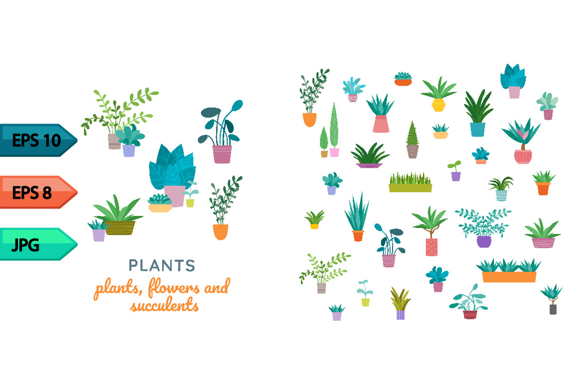 Vector indoor plants in ceramic pots, an Object Graphic by julia_musdotter