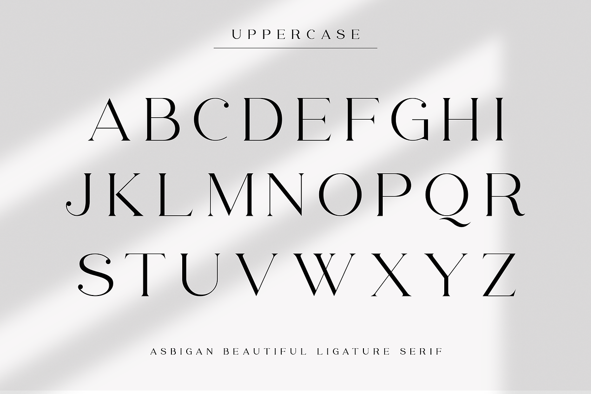 Asbigan, a Serif Font by Sealoung (Photo 10 of 21)