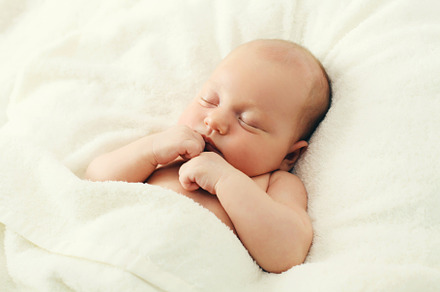 Portrait of infant sweet sleeping ly, a Person Photo by Rohappy