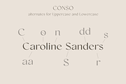 Conso | Font Family, a Sans Serif Font by Larin Type Co. (Thumbnail 8 of 15)