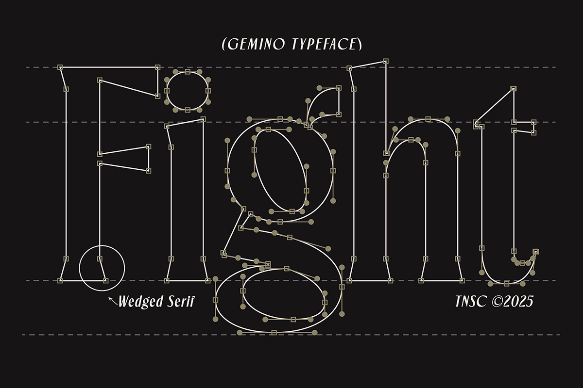 TNSC Gemino - Sans & Serif Typeface, a Serif Font by The Native Saint Club (Photo 10 of 14)