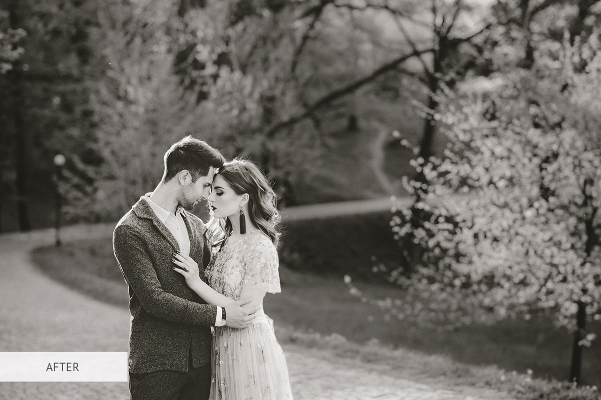 Sepia Tones Presets for Lightroom, a Plug-in Add-On by FixThePhoto (Photo 28 of 39)