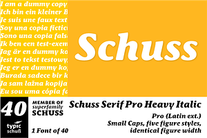 SchussSerifProHeavIta No.40 1 Font