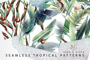 Tropical Patterns PNG JPEG