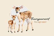Watercolor Woodland Animals Clipart, an Animal Illustration by Primrose Blume (Thumbnail 2 of 8)