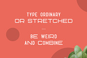 Hippo Sans Serif | 3 styles, a Sans Serif Font by VP Fonts (Thumbnail 3 of 10)