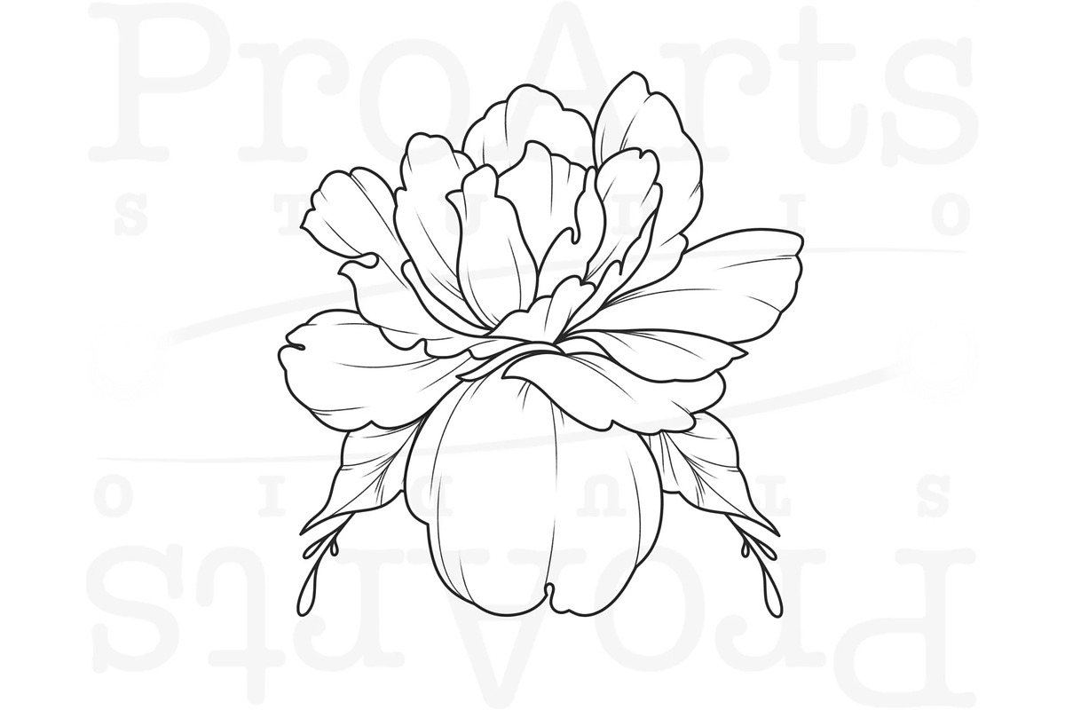 Peony Procreate Tattoo Brush Set, a Brush Add-On by Lucrumplus (Photo 7 of 10)
