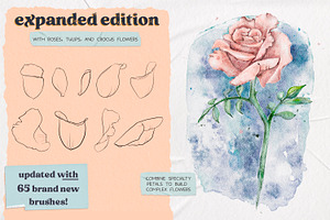 Flower Builder Kit For Photoshop