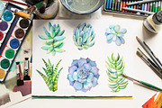 Succulents watercolor set, an Illustration by Green_leaf_17 (Thumbnail 4 of 4)