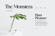 Nigelina - Modern Vintage Serif, a Serif Font by Pixesia Studio (Thumbnail 7 of 16)