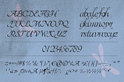 Kleiro - Chamber Calligraphy Script, a Script Font by riff.type (Thumbnail 3 of 10)
