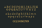 ROMANUM Serif display font, a Serif Font by WAP (Thumbnail 3 of 4)
