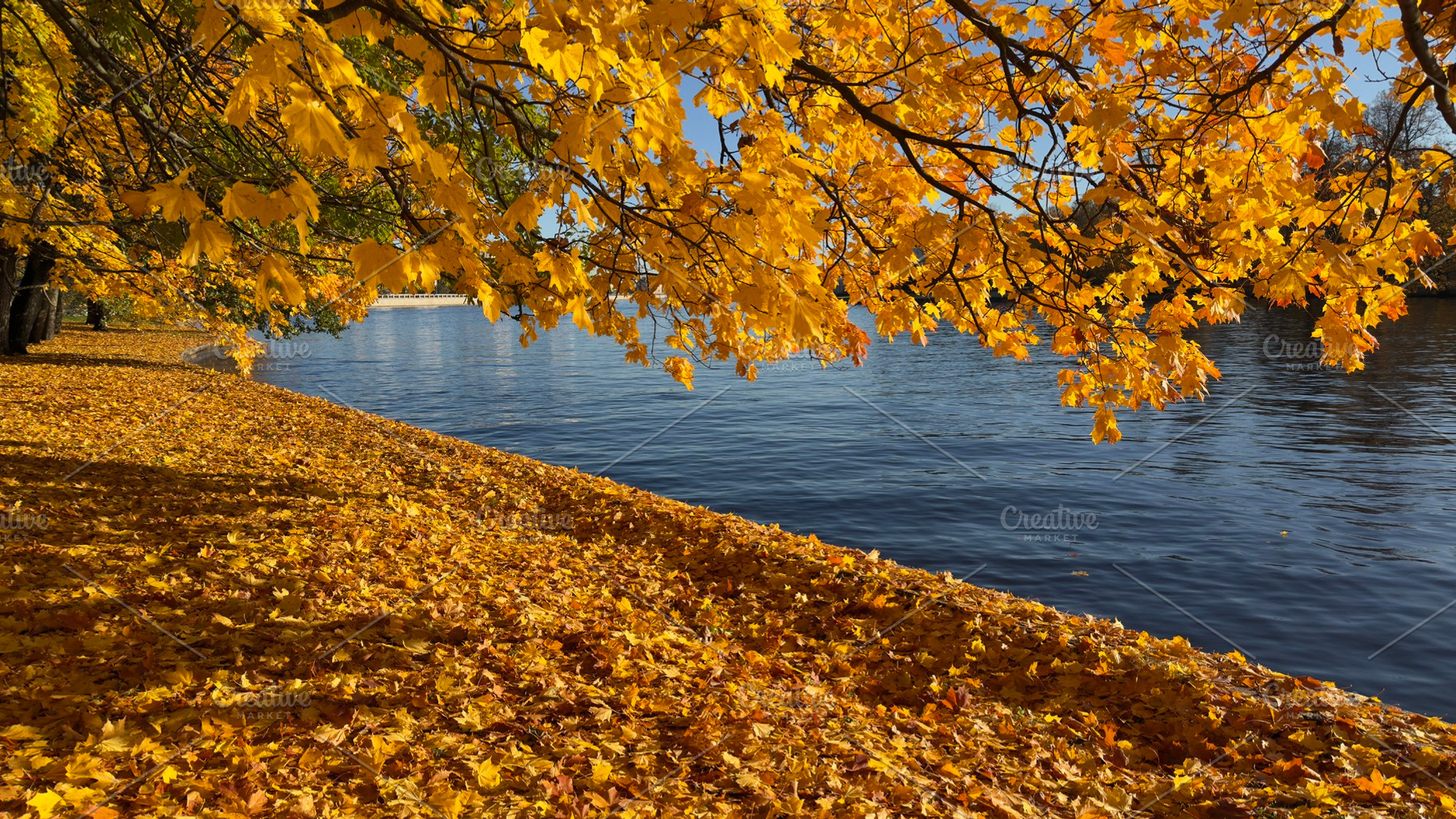 A serene riverside scene in autumn, featuring vibrant yellow leaves on trees an, a Nature Photo by Textures & Backgrounds