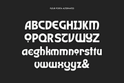 Fleur Porta | Display Sans, a Sans Serif Font by Jolicia Type (Thumbnail 11 of 14)
