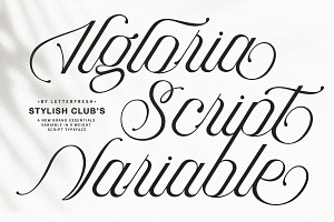 Algloria Script Variable Pro