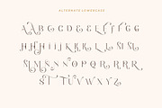 Romantic Serif - Elegant Classy Font, a Font by HansCo Studio (Thumbnail 14 of 15)