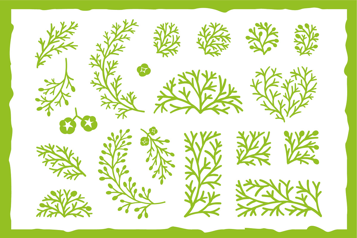 Linocut Conifer Branches Vector Set, a Decorative Illustration by Lettering_Logo (Photo 7 of 13)