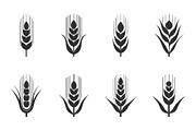 Wild Grass & Grain Vector Set, an Illustration by BIPLOB EXPERT (Thumbnail 4 of 9)