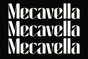 Cas Calisaya Elegant Font, a Serif Font by Casloop Studio (Thumbnail 6 of 15)