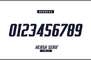 HERSH SERIF FONT FAMILY, a Serif Font by Alphabet Agency (Thumbnail 7 of 14)