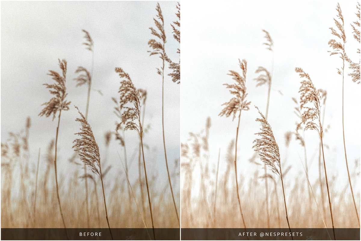 BOHEMIAN VIBES LIGHTROOM PRESETS, an Action Add-On by Nes Design Co (Photo 10 of 11)