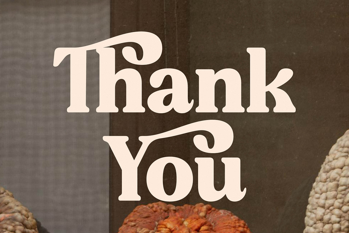 Bristle Radiant Modern Retro Stylish, a Serif Font by Letterena Studios (Photo 15 of 15)