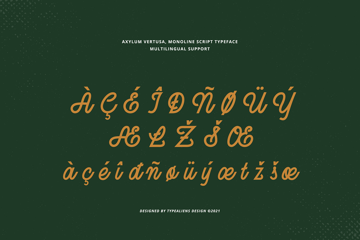 Axylum Vertusa, a Script Font by ilhamtaro (Photo 10 of 11)