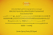 Cerealia Spring Handwritten Font Duo, a Handwritten Font by LTNG STUDIO (Thumbnail 4 of 8)