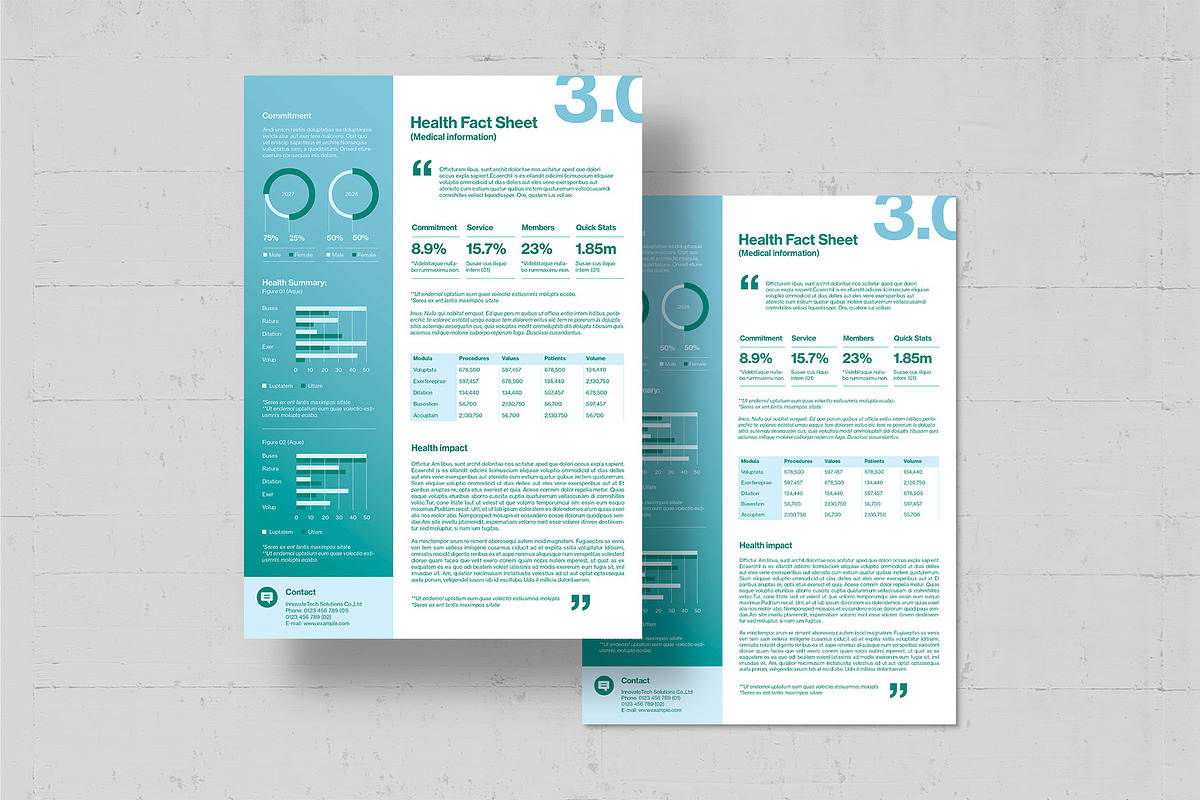 Fact Sheet Template, a Flyer Template by BrandPacks