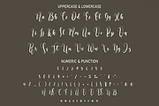 Arlian | Script Font, a Script Font by Scratchones (Thumbnail 8 of 8)