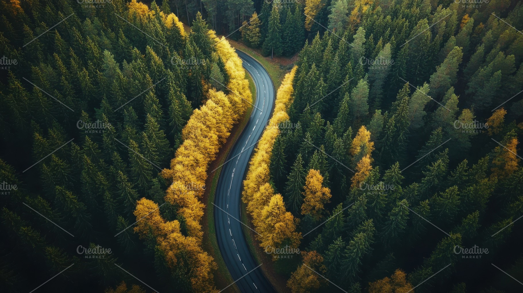Winding road through autumn forest g, a Photo by Pixeness Studio