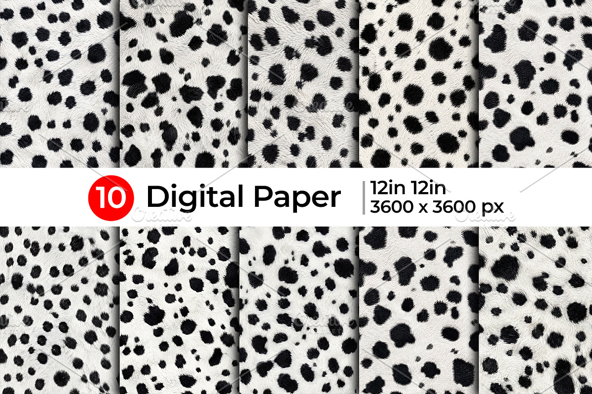 Realistic Dalmatian Fur Texture, a Pattern Graphic by Artonix (Photo 1 of 4)