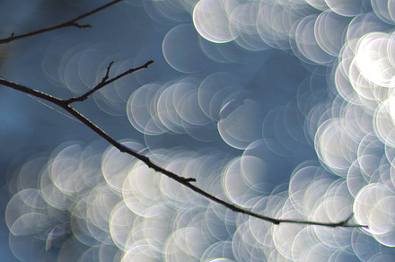 natural bokeh preview 6